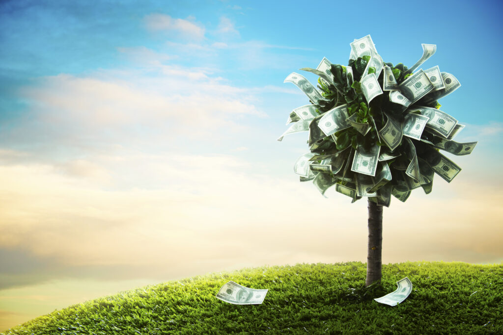 A money tree | Where to get a $500 loan